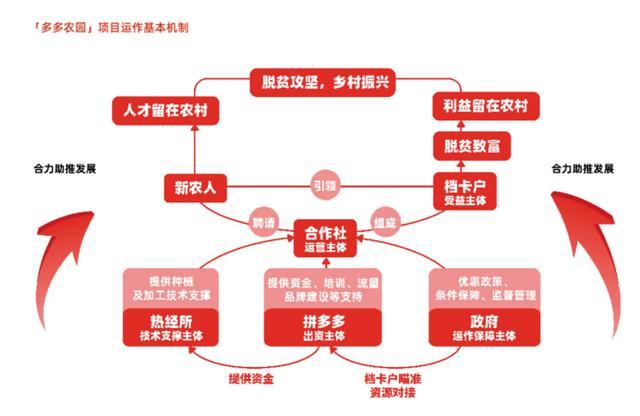 将创建中国最大的农产品上行平台以及中国最大的互联网农业数据平台