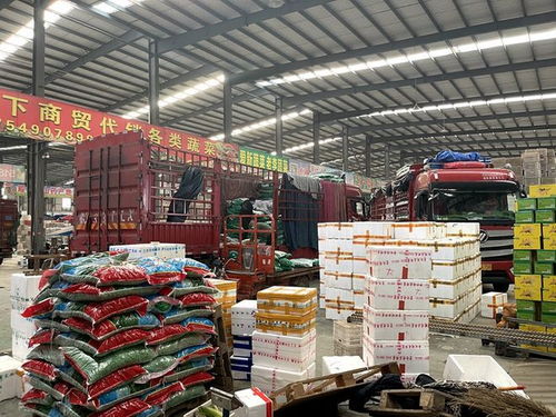 对接长三角农产品供应 山东强盛集团打造鲁南苏北农副产品集散地