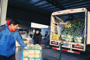 购年货 一站式 郑州市家门口的批发市场 侯寨农副产品批发市场